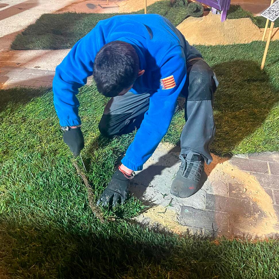 20260315 - Planta Falla Gran 10